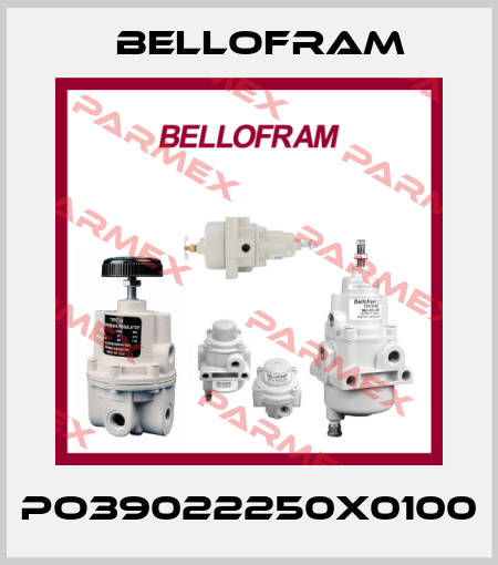 PO39022250X0100 Bellofram