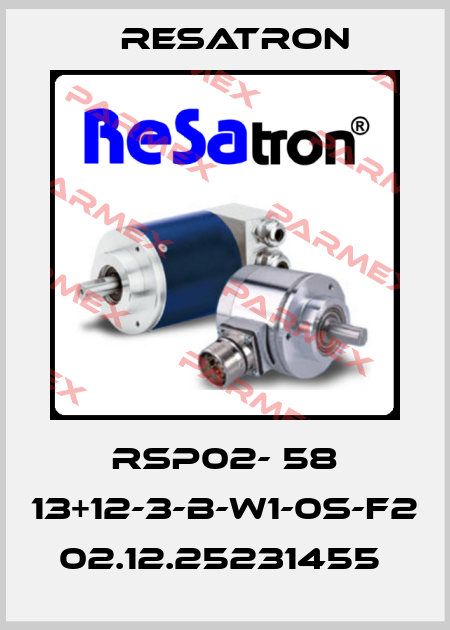 RSP02- 58 13+12-3-B-W1-0S-F2  02.12.25231455  Resatron