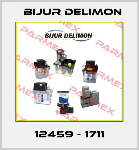 12459 - 1711 Bijur Delimon