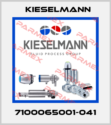7100065001-041 Kieselmann