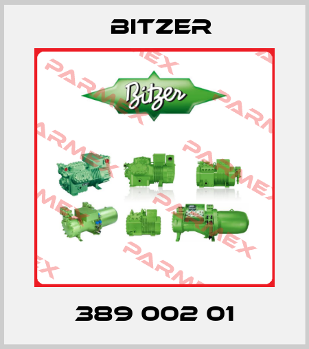 389 002 01 Bitzer