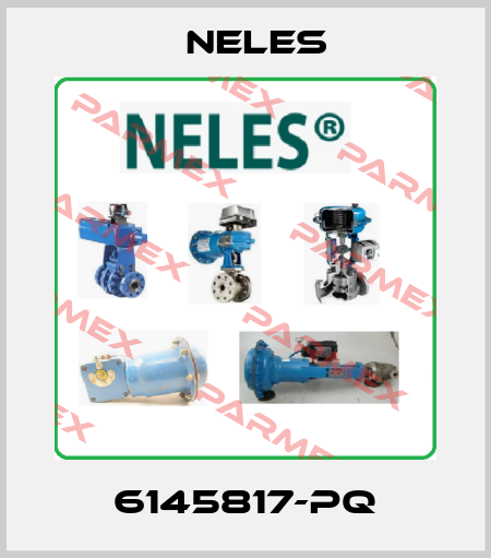6145817-PQ Neles