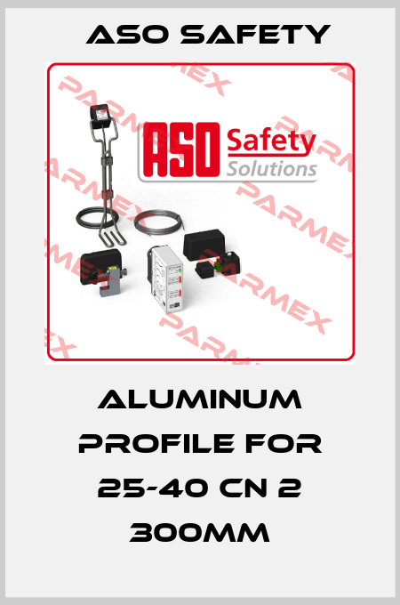 aluminum profile for 25-40 CN 2 300mm ASO SAFETY