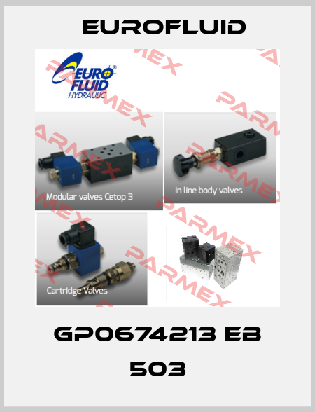 GP0674213 EB 503 Eurofluid