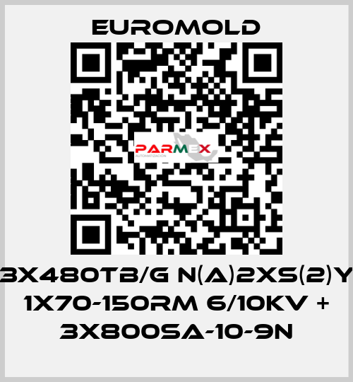 3x480TB/G N(A)2XS(2)Y 1X70-150RM 6/10KV + 3x800SA-10-9N EUROMOLD