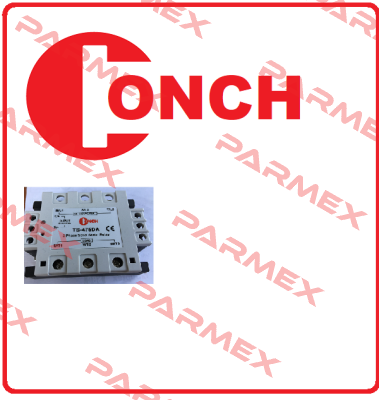 P20 -2020-000A Conch