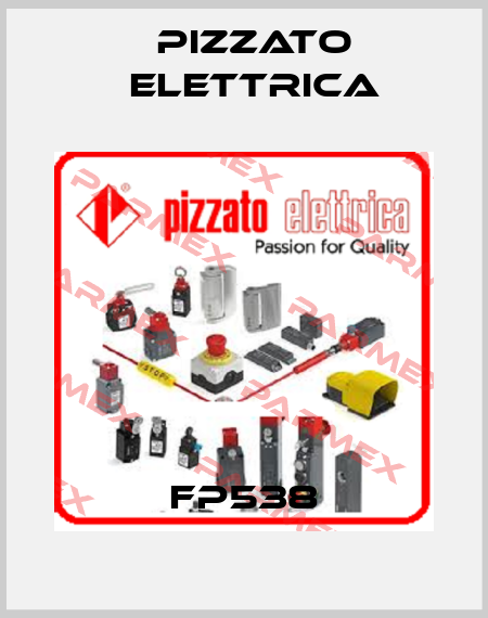 FP538 Pizzato Elettrica