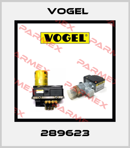 289623 Vogel