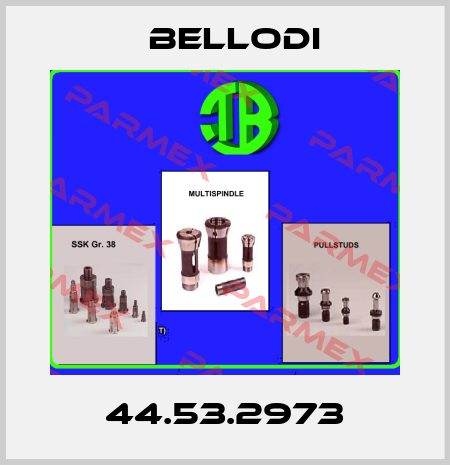 44.53.2973 Bellodi