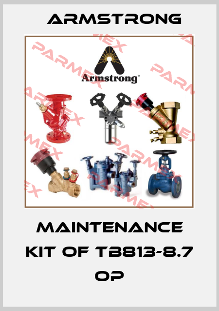 Maintenance kit of TB813-8.7 OP Armstrong