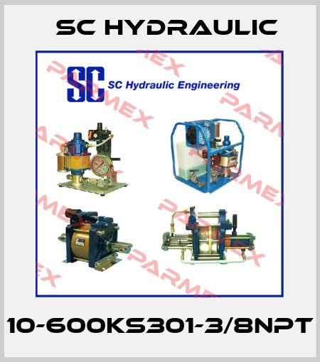 10-600KS301-3/8NPT SC Hydraulic