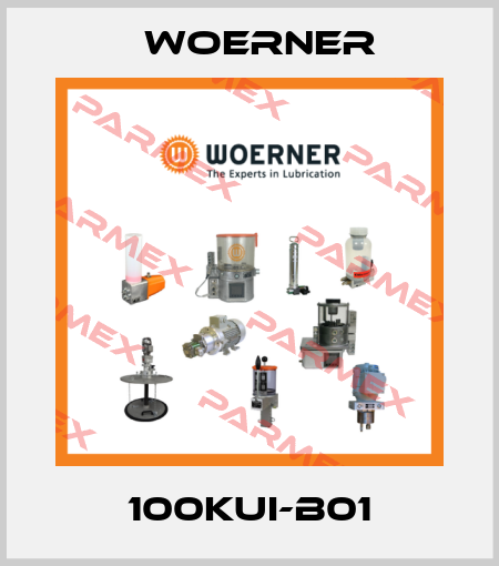 100KUI-B01 Woerner