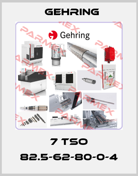 7 TSO 82.5-62-80-0-4 Gehring