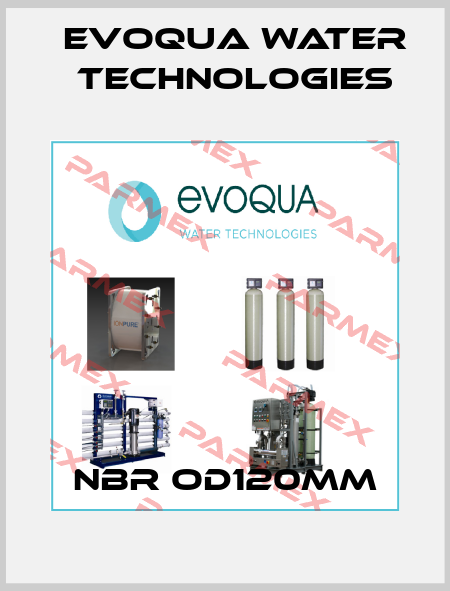 NBR OD120MM Evoqua Water Technologies