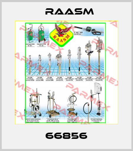 66856 Raasm
