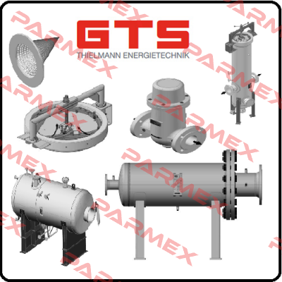 55-10016-1310 GTS-Thielmann Energietechnik