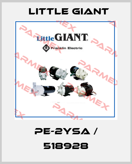 PE-2YSA / 518928 Little Giant