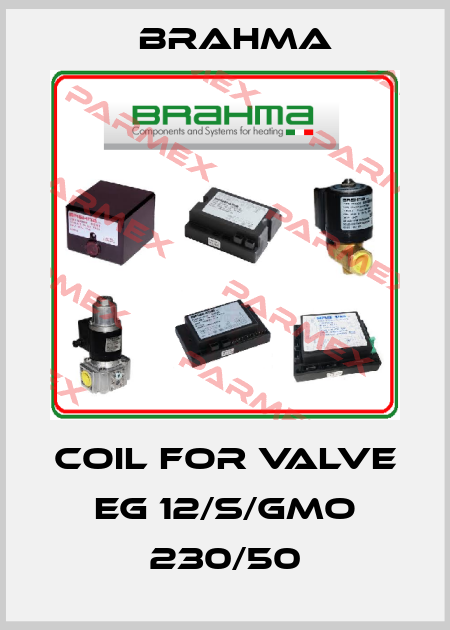 Coil for Valve EG 12/S/GMO 230/50 Brahma