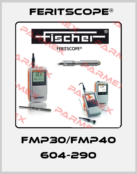 FMP30/FMP40 604-290 Feritscope®