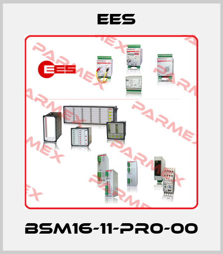 BSM16-11-PR0-00 Ees