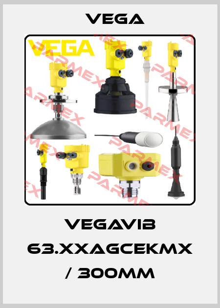 VEGAVIB 63.XXAGCEKMX / 300mm Vega