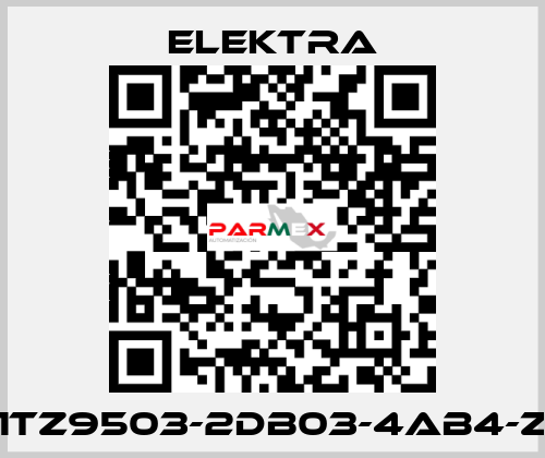 1TZ9503-2DB03-4AB4-Z ELEKTRA