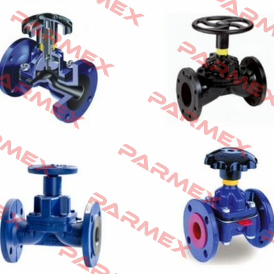 NX2 DN50 Saunders