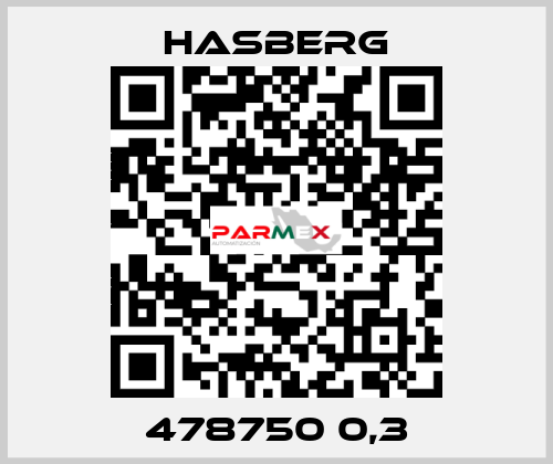 478750 0,3 Hasberg