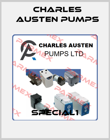 SPECIAL1 Charles Austen Pumps