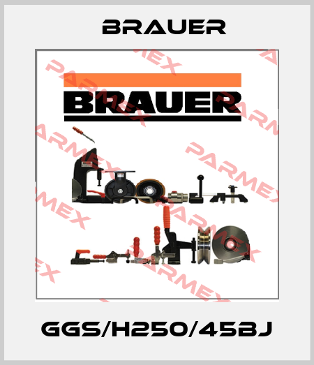 GGS/H250/45BJ Brauer