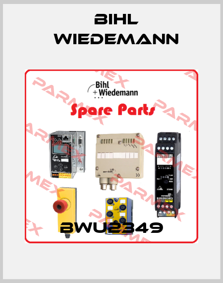 BWU2349 Bihl Wiedemann