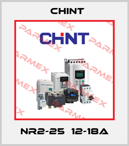 NR2-25  12-18A Chint
