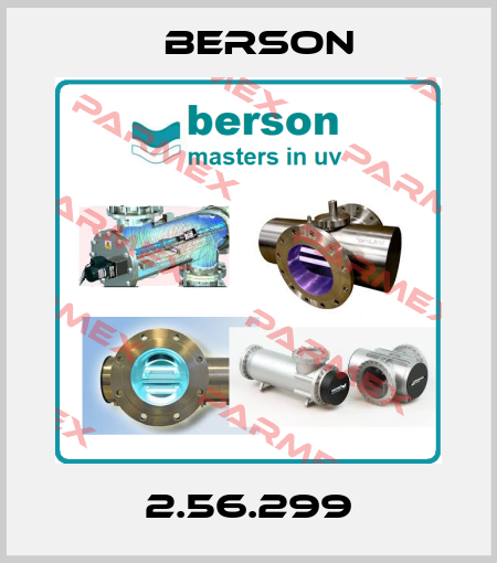2.56.299 Berson