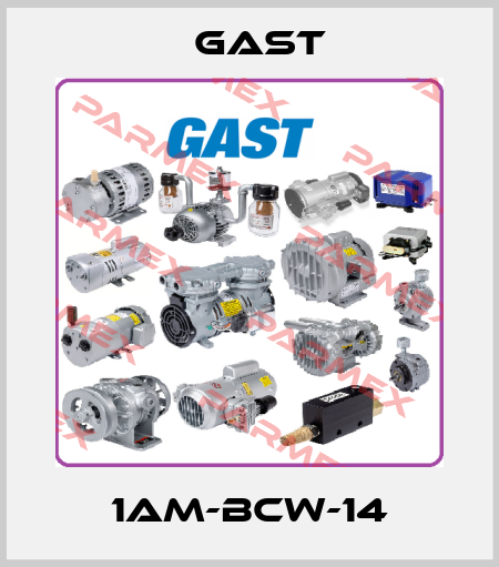  1AM-BCW-14 Gast