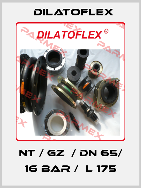 NT / GZ  / DN 65/ 16 BAR /  L 175 DILATOFLEX