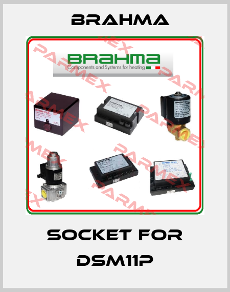 Socket for DSM11P Brahma