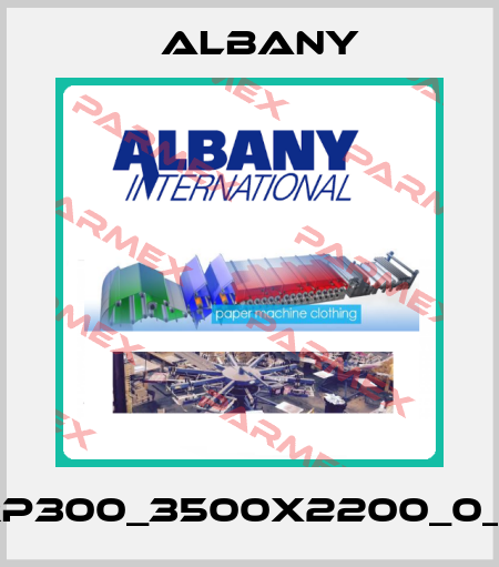 RP300_3500x2200_0_L Albany