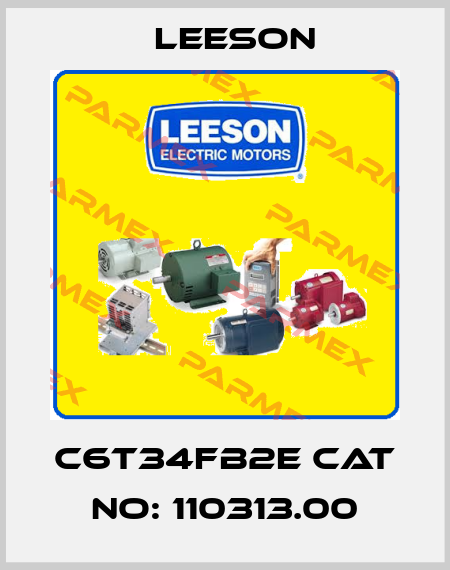 C6T34FB2E CAT No: 110313.00 Leeson
