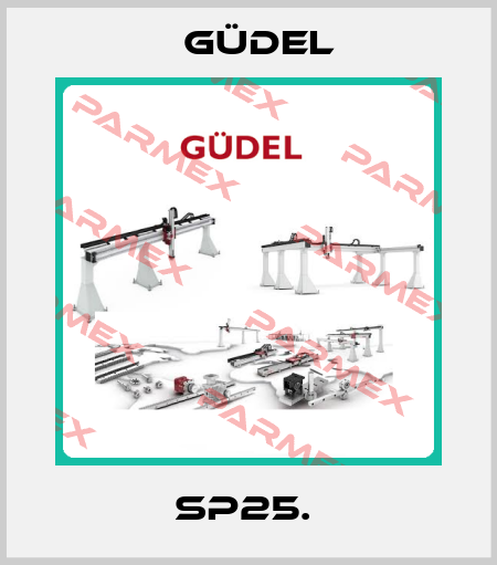 SP25.  Güdel