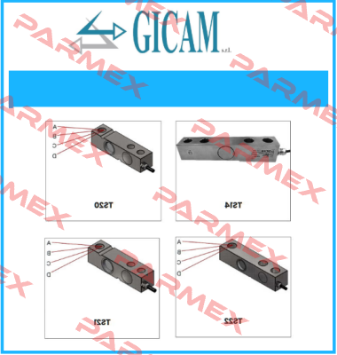 R84CR Gicam