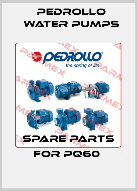 SPARE PARTS FOR PQ60  Pedrollo Water Pumps