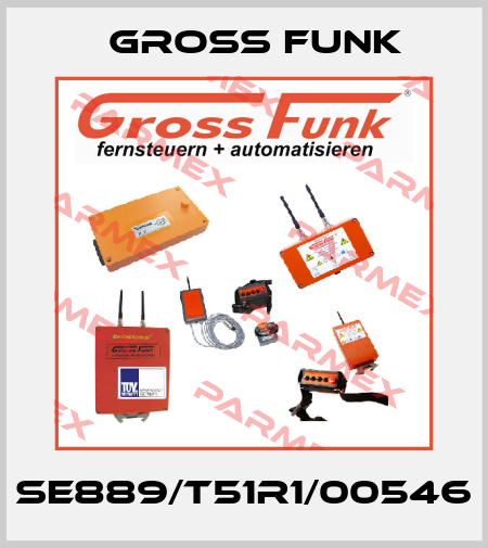 SE889/T51R1/00546 Gross Funk