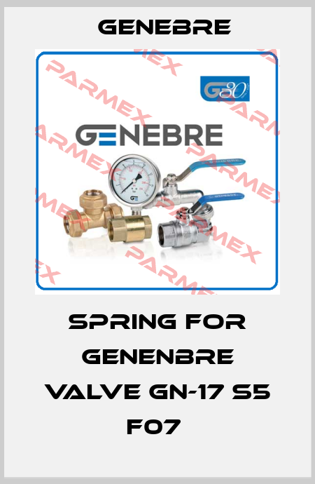 Spring for Genenbre valve GN-17 S5 F07  Genebre