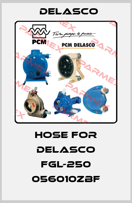 hose for DELASCO FGL-250 056010ZBF Delasco