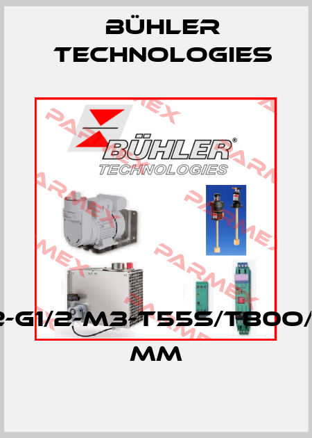 TSM-2-G1/2-M3-T55S/T80O/L=250 MM Bühler Technologies