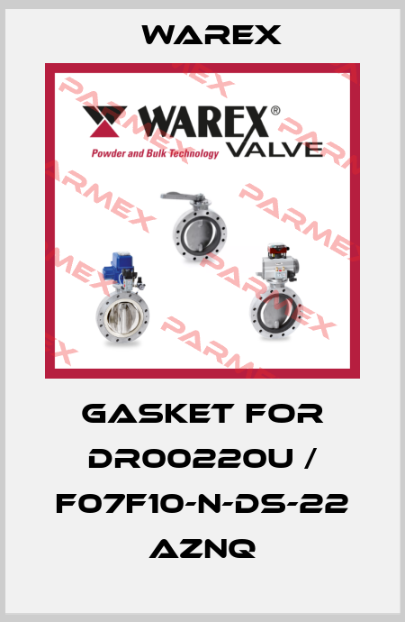 Gasket for DR00220U / F07F10-N-DS-22 AZNQ Warex