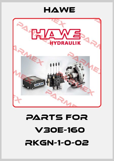 PARTS FOR 	V30E-160 RKGN-1-0-02 Hawe