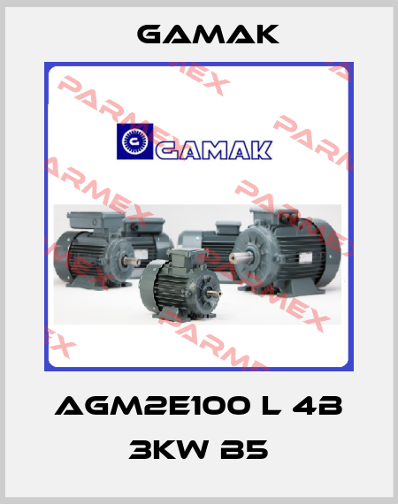 AGM2E100 L 4B 3KW B5 Gamak