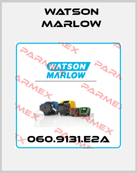 060.9131.E2A Watson Marlow