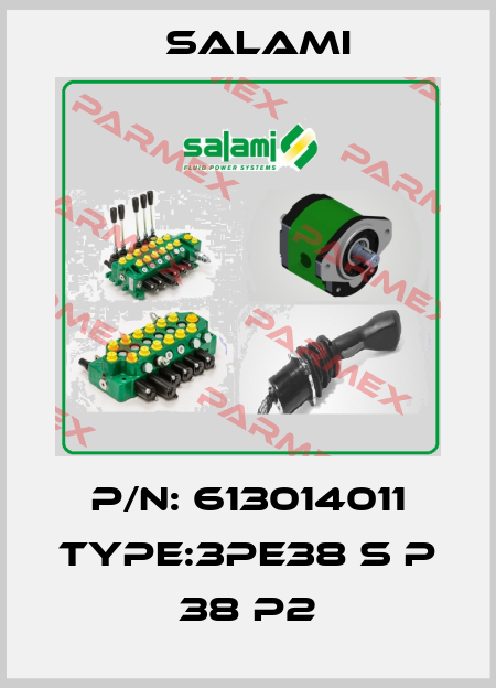 P/N: 613014011 Type:3PE38 S P 38 P2 Salami